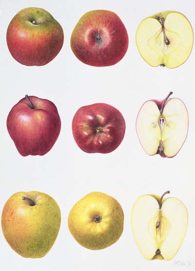 Six Apples by Margaret Ann Eden